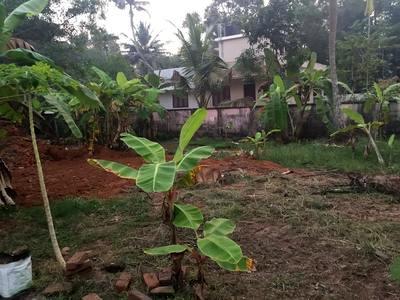 residential land, kochi, paravoor road, image
