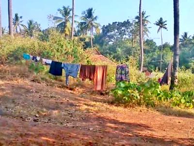 residential land, kochi, paravoor road, image