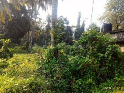 residential land, kochi, vypin, image