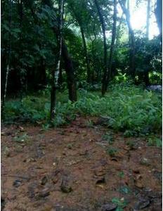 residential land, kochi, kothamangalam, image