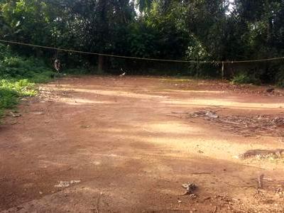 residential land, kochi, karukutty, image