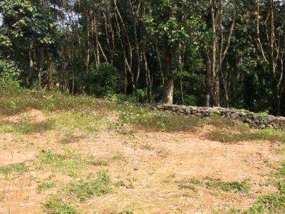 residential land, kochi, ramamangalam, image