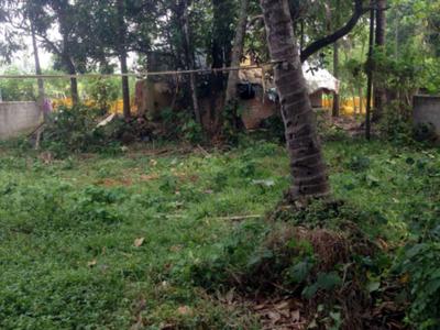 residential land, kochi, north kalamassery, image