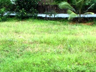 residential land, kochi, njarackal, image