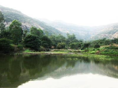 residential land, pune, hinjewadi, image