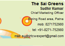 Sudhir Kumar in Patna. Property Dealer in Patna at hindustanproperty.com.